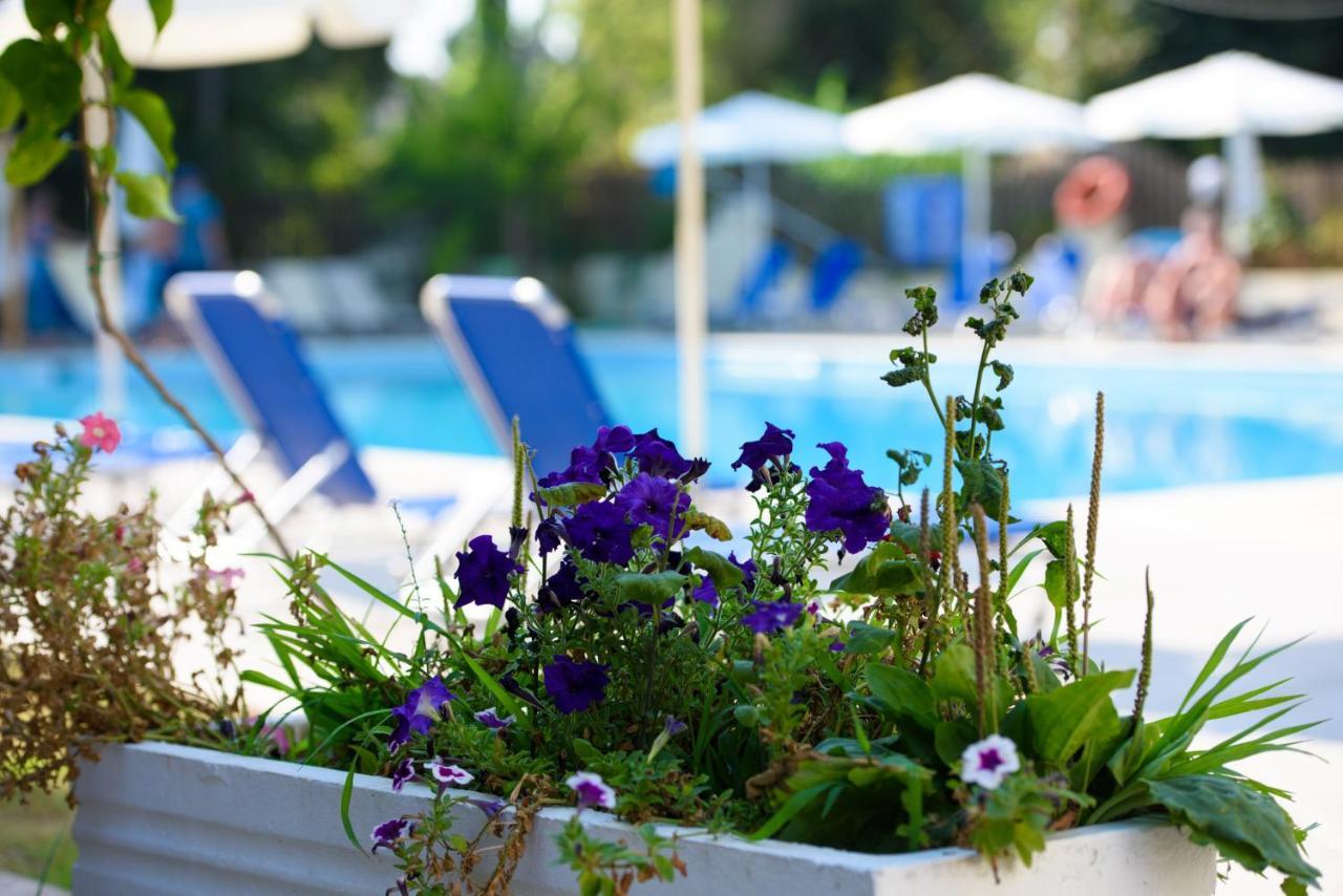 酒店 Amalia Corfu - Adults Only 3*